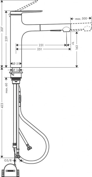 Keukenkraan Met Handdouche Hansgrohe Zesis M33 sBox, 2 stralen Zwart Mat