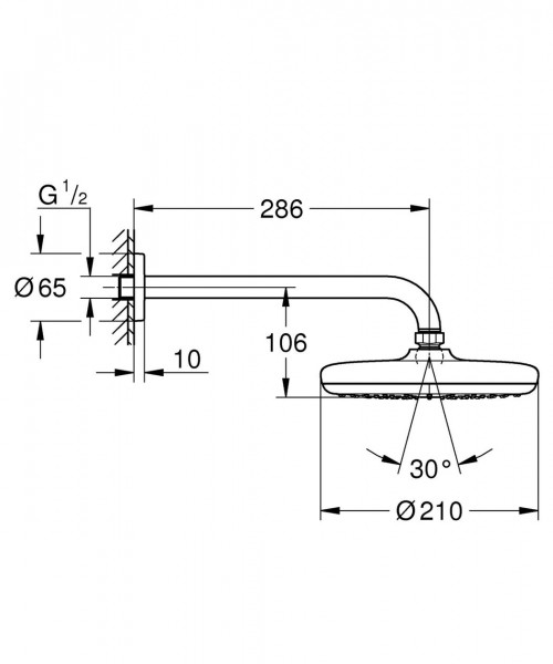 Grohe Plafond Douche Tempesta Ø210mm 1 jet 26411000