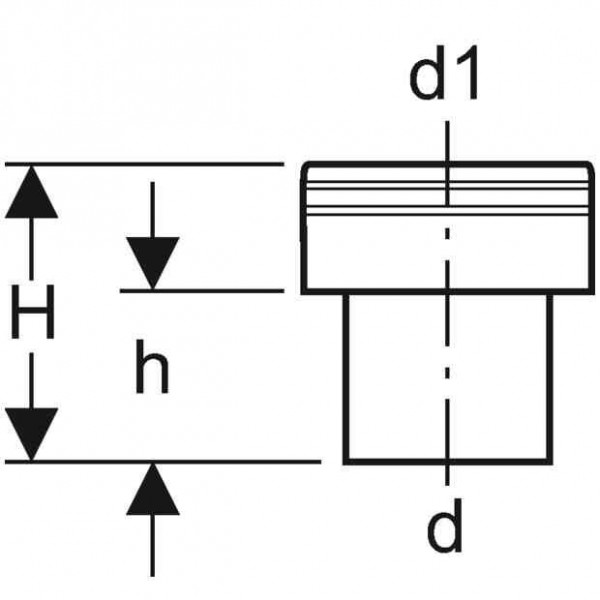 Geberit Snelkoppeling PE (371739161)