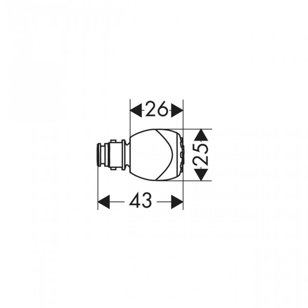 Hansgrohe Zijdouche Chroom